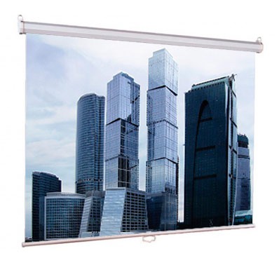 Экран настенно-потолочный для проектора Lumien 160x160см Eco Picture LEP-100105 1:1
