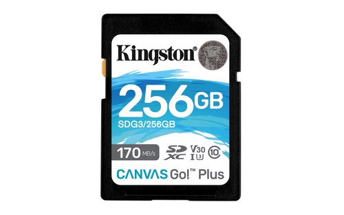 Карта памяти Secure Digital Card (SDXC) 256Gb Kingston Canvas Go! Plus